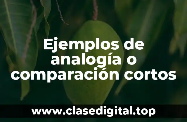 Ejemplos de analogía o comparación cortos