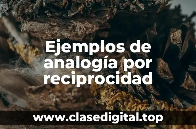 Ejemplos de analogía por reciprocidad