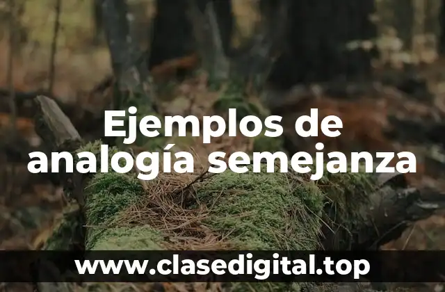 Ejemplos de analogía semejanza
