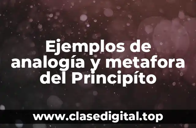 Ejemplos de analogía y metafora del Principíto