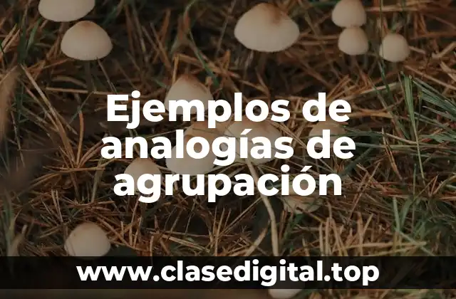 Ejemplos de analogías de agrupación