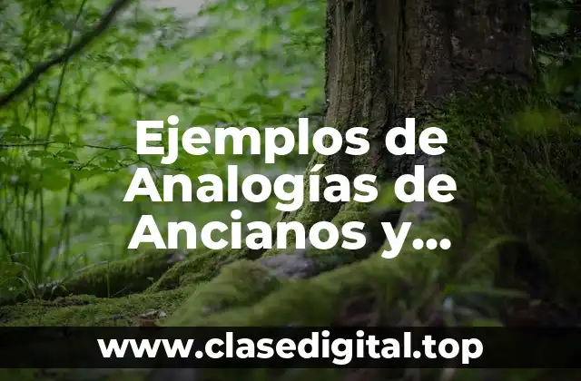 Ejemplos de Analogías de Ancianos y Significado