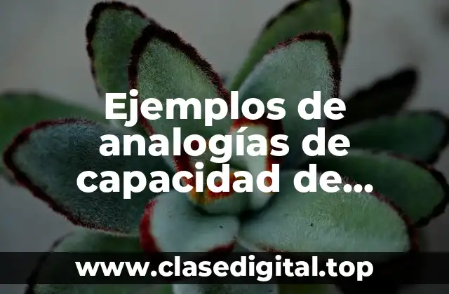 Ejemplos de analogías de capacidad de comprar un bien