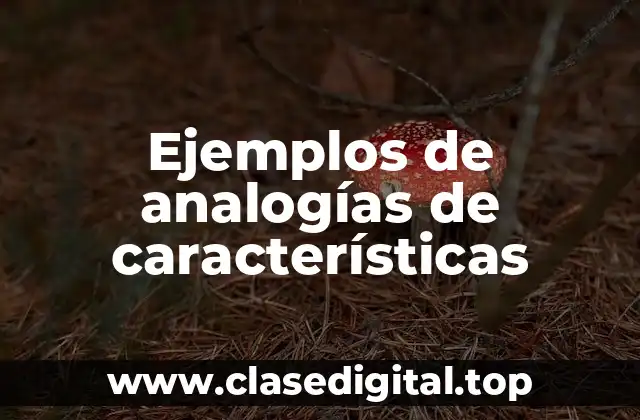 Ejemplos de analogías de características