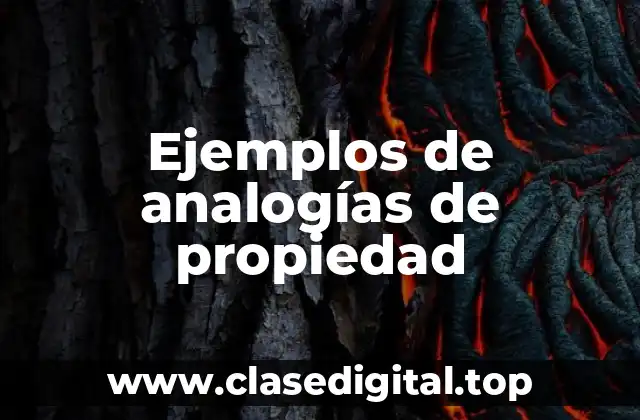 Ejemplos de analogías de propiedad