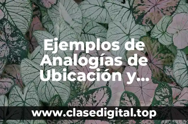 Ejemplos de Analogías de Ubicación y Significado