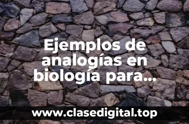 Ejemplos de analogías en biología para bachillerato