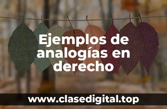 Ejemplos de analogías en derecho