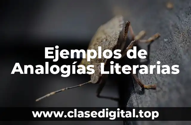 Ejemplos de Analogías Literarias