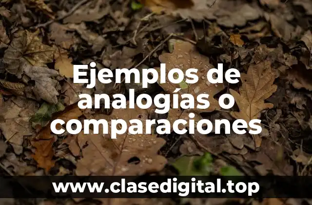 Ejemplos de analogías
