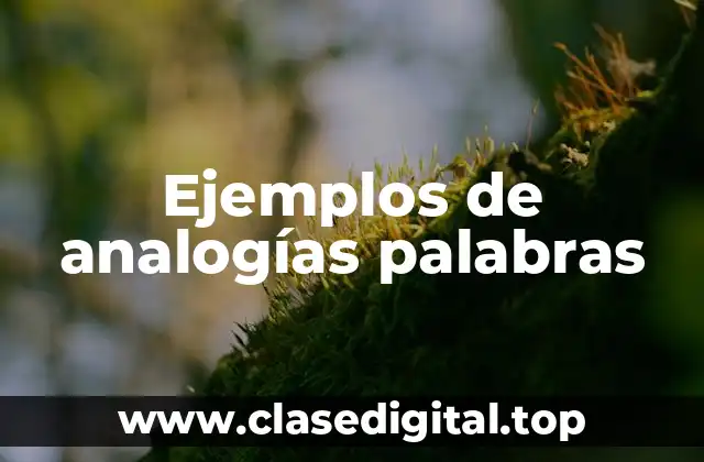 Ejemplos de analogías palabras