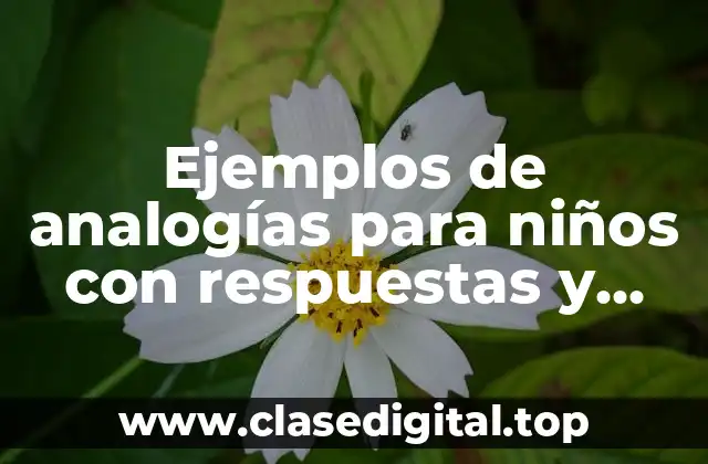 Ejemplos de analogías para niños con respuestas