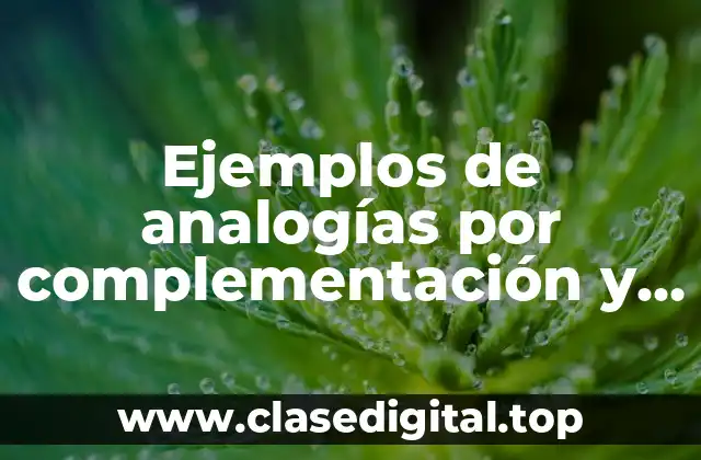 Ejemplos de analogías por complementación y Significado