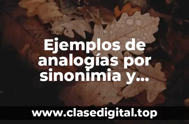 Ejemplos de analogías por sinonimia y antonimia