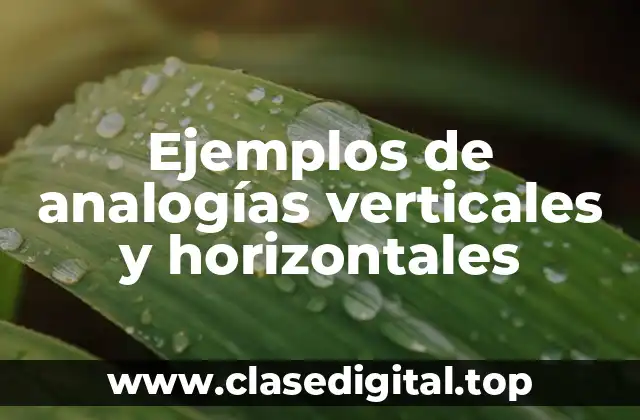 Ejemplos de analogías verticales y horizontales