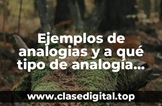 Ejemplos de analogias y a qué tipo de analogía pertenecen y Significado