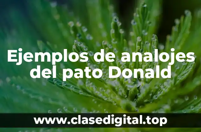 Diferencia entre analojes del pato Donald y caricaturas