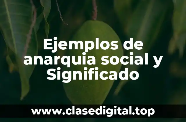 Ejemplos de anarquia social y Significado