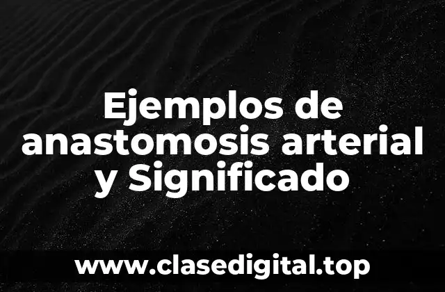 Ejemplos de anastomosis arterial y Significado