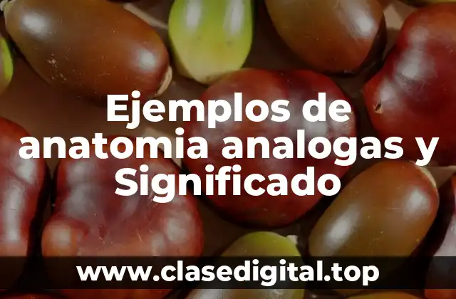 Ejemplos de anatomia analogas y Significado