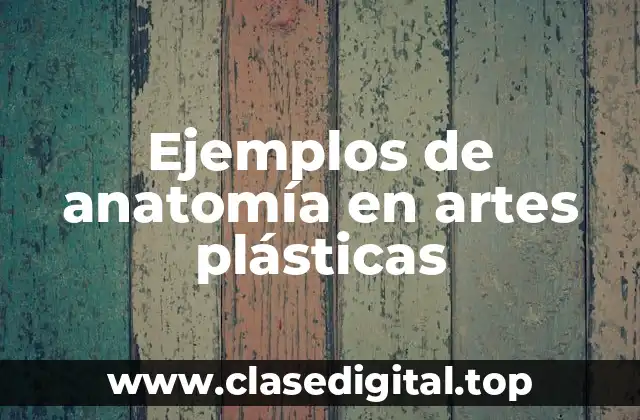 Ejemplos de anatomía en artes plásticas