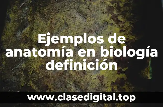 Ejemplos de anatomía en biología definición