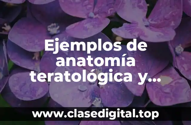 Ejemplos de anatomía teratológica y Significado