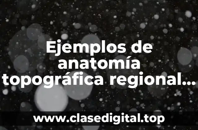 Ejemplos de anatomía topográfica regional facial y Significado