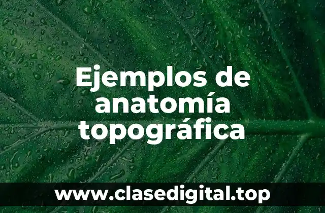 Ejemplos de anatomía topográfica