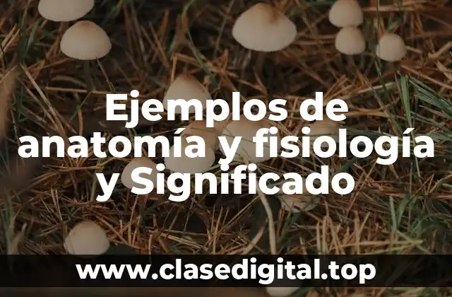 Ejemplos de anatomía y fisiología y Significado