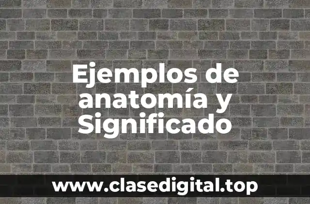 Ejemplos de anatomía