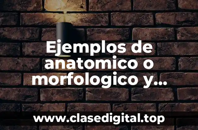 Ejemplos de anatomico o morfologico y Significado