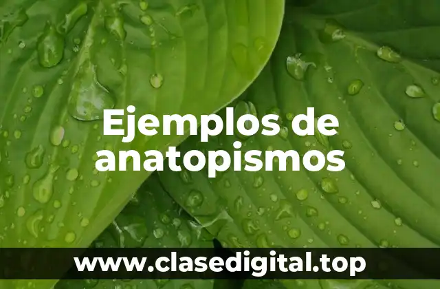 Ejemplos de anatopismos