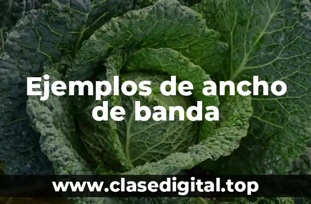 Ejemplos de ancho de banda