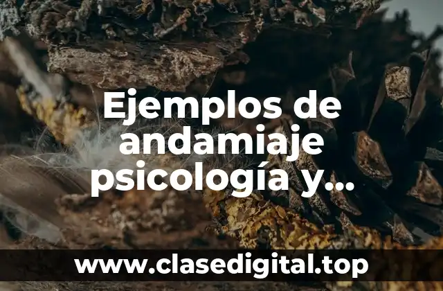 Ejemplos de andamiaje psicología y Significado