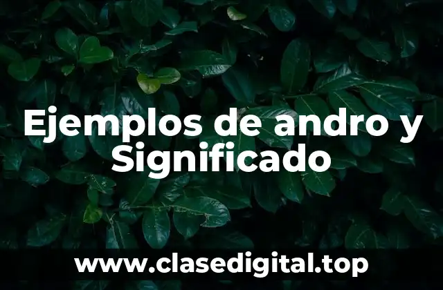 Ejemplos de andro y Significado