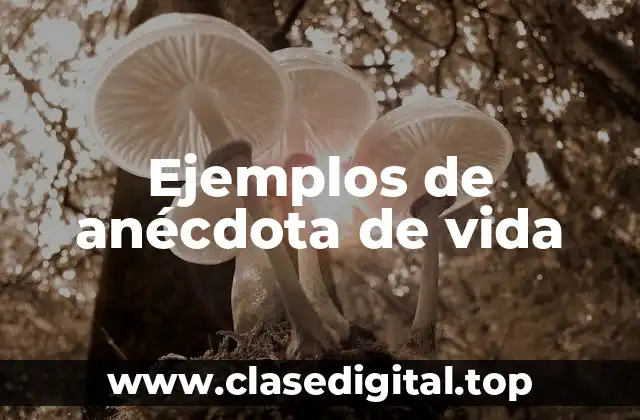 Ejemplos de anécdota de vida
