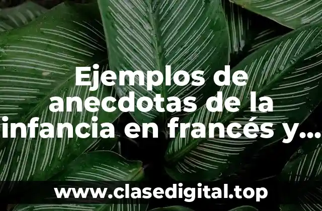Ejemplos de anecdotas de la infancia en francés y Significado