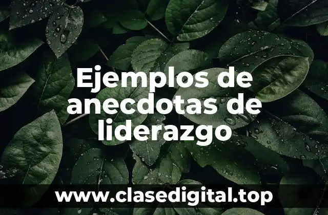 Ejemplos de anecdotas de liderazgo