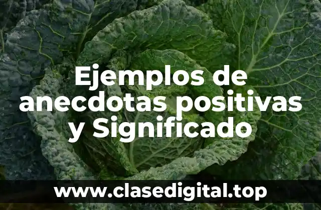Ejemplos de anecdotas positivas y Significado