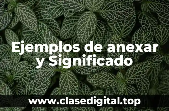 Ejemplos de anexar y Significado