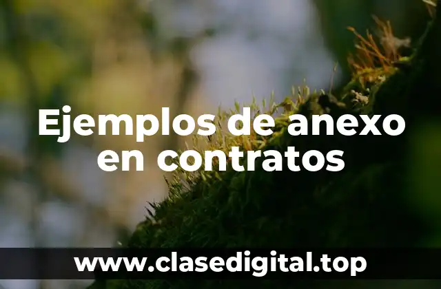Ejemplos de anexos en contratos