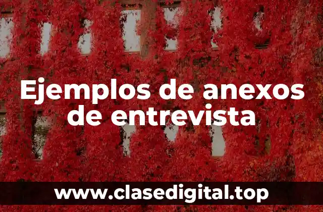 Ejemplos de anexos de entrevista