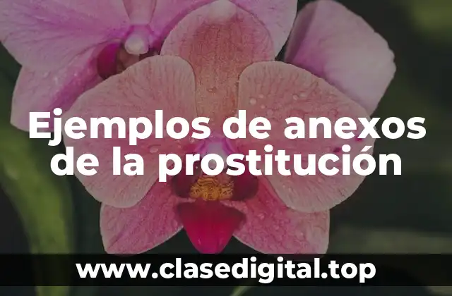Ejemplos de anexos de la prostitución
