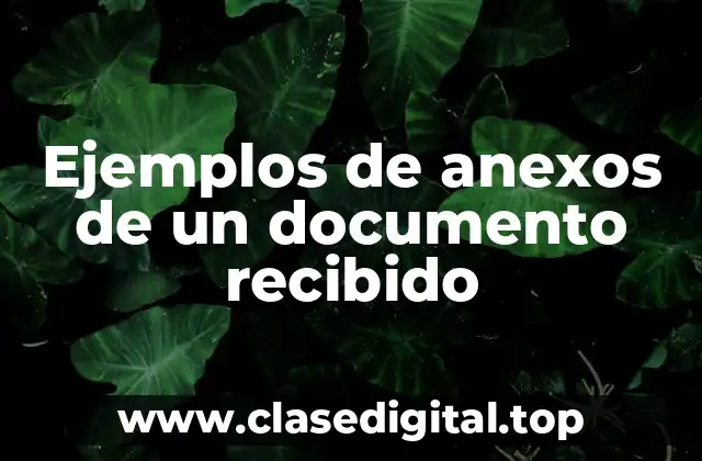 Ejemplos de anexos de un documento recibido