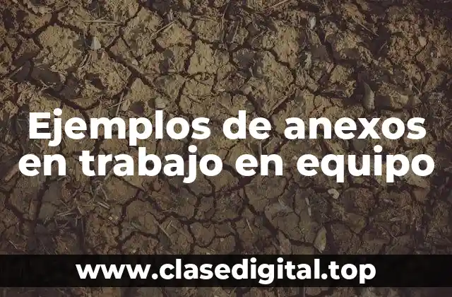 Ejemplos de anexos en trabajo en equipo