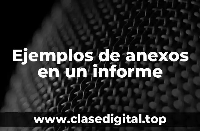 Ejemplos de anexos en un informe