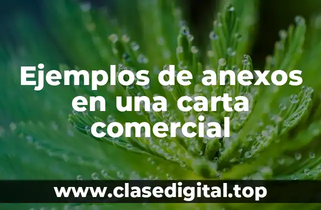 Ejemplos de anexos en una carta comercial