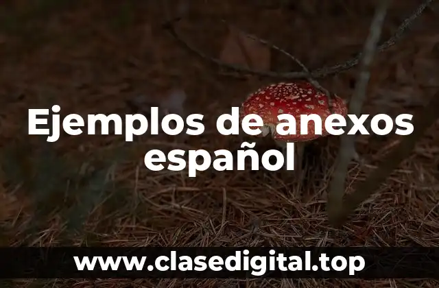 Ejemplos de anexos español