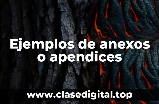 Ejemplos de anexos o apendices